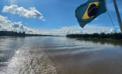 45 Brasilien (27.1.26 bis 6.2.26)